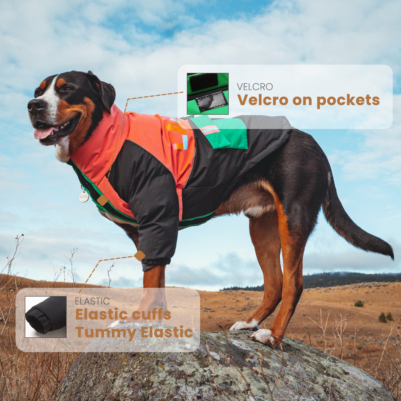 LaiFug Stand Collar Two Legs Dog Winter Coat