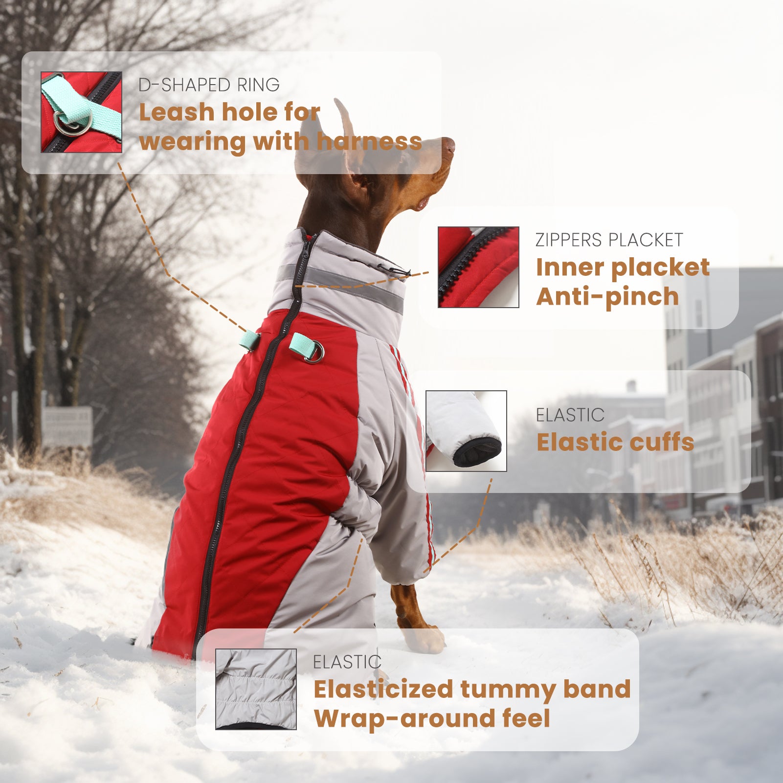 LaiFug Gray Red & Gray Blue Stand Collar Two Legs Dog Winter Coat