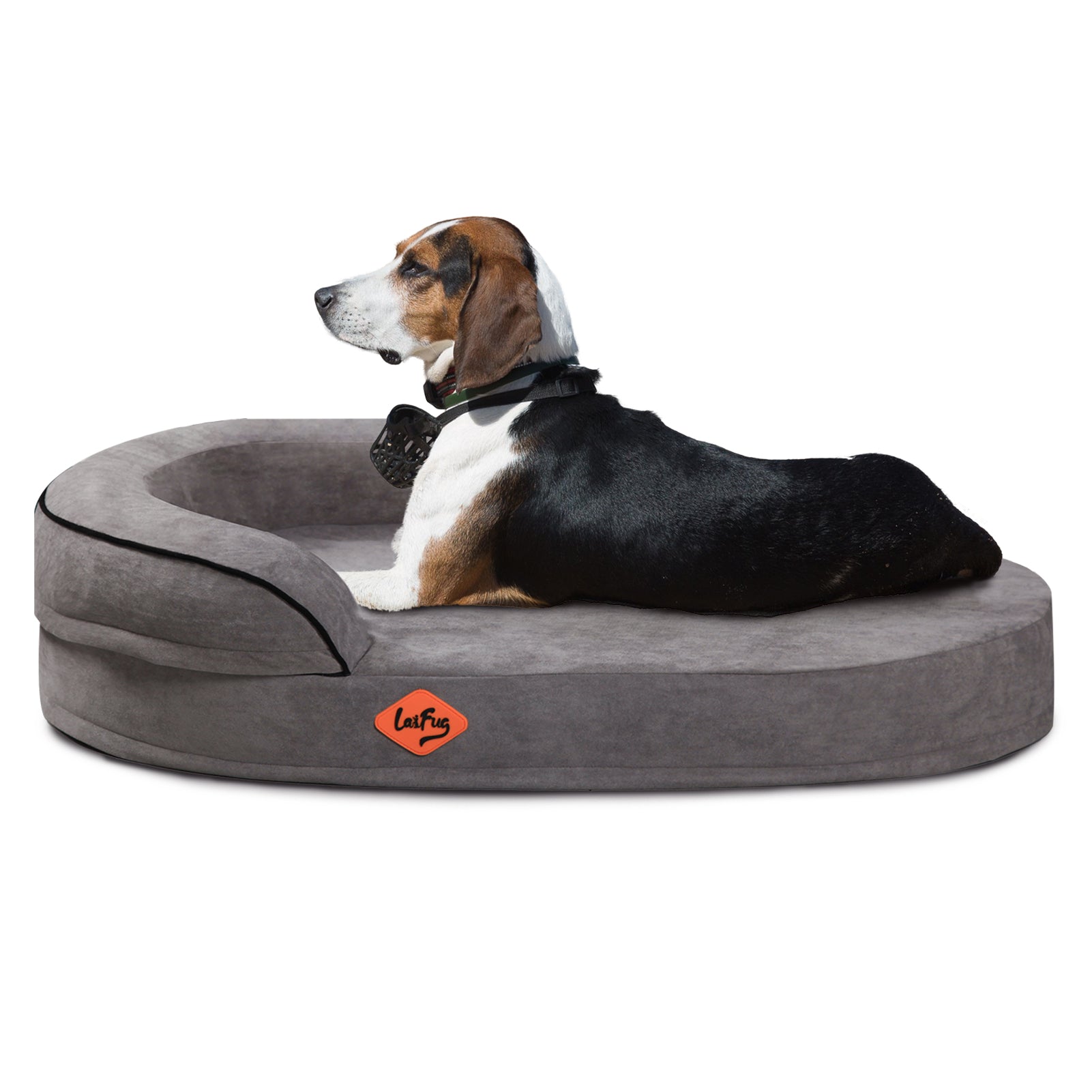 LaiFug Orthopedic Memory Foam Oval Dog Bed – Curved Bolster Support
