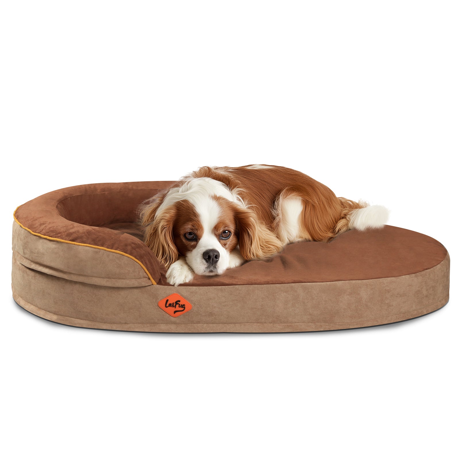 LaiFug Orthopedic Memory Foam Oval Dog Bed – Curved Bolster Support