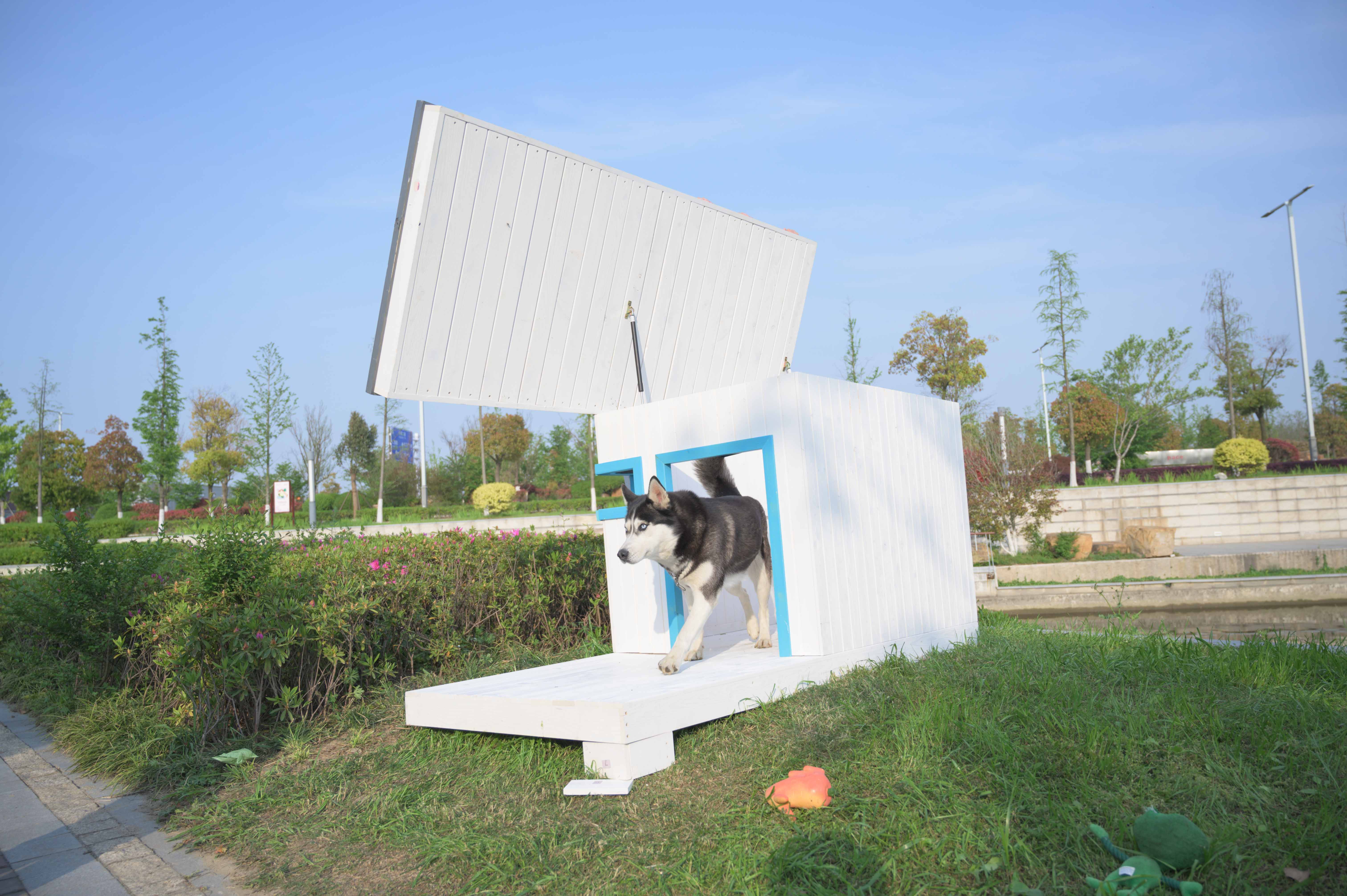 LaiFug dog house|Upgraded Dog House Revolutionizes the Market!