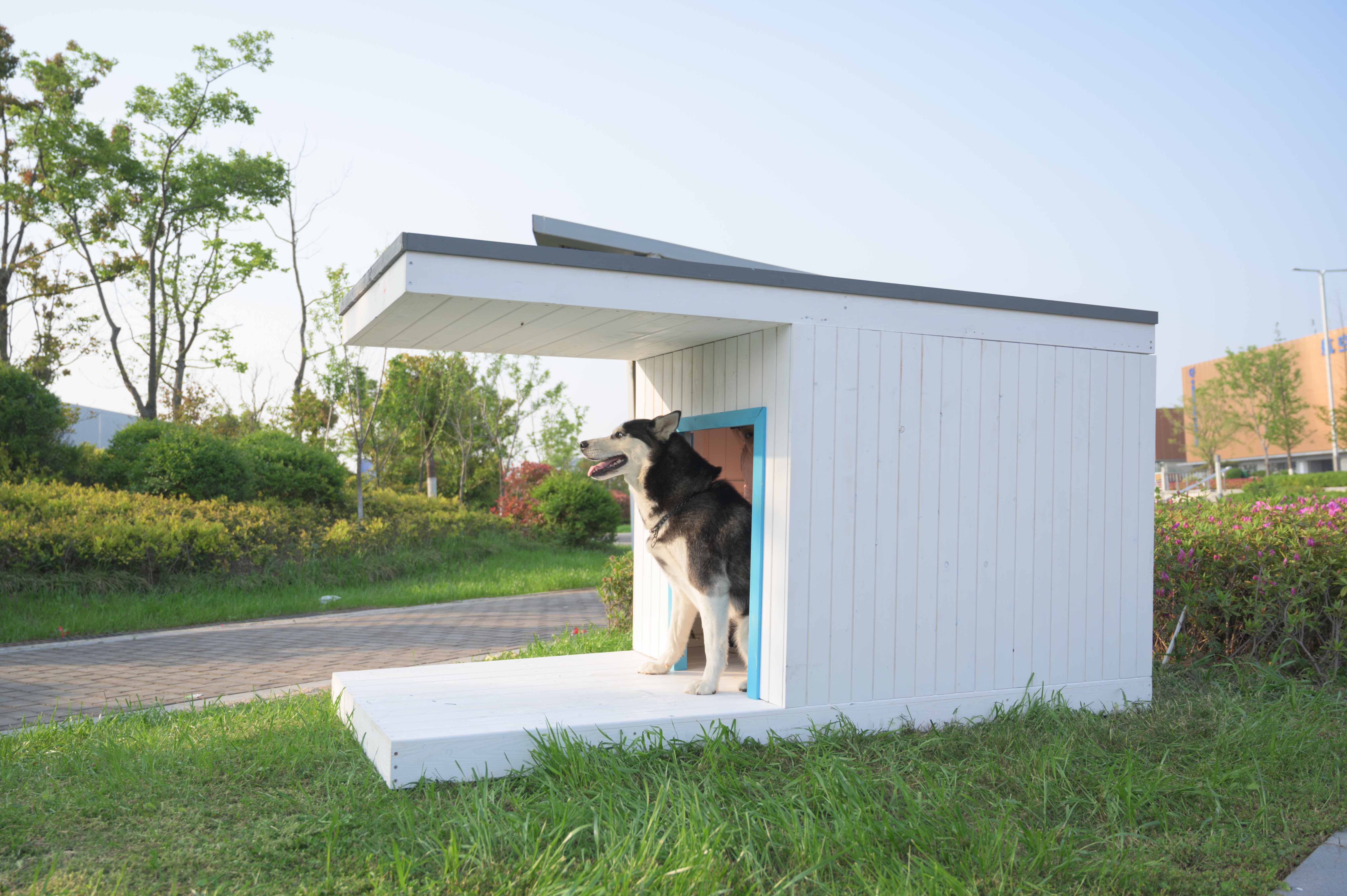 LaiFug dog house|Upgraded Dog House Revolutionizes the Market!