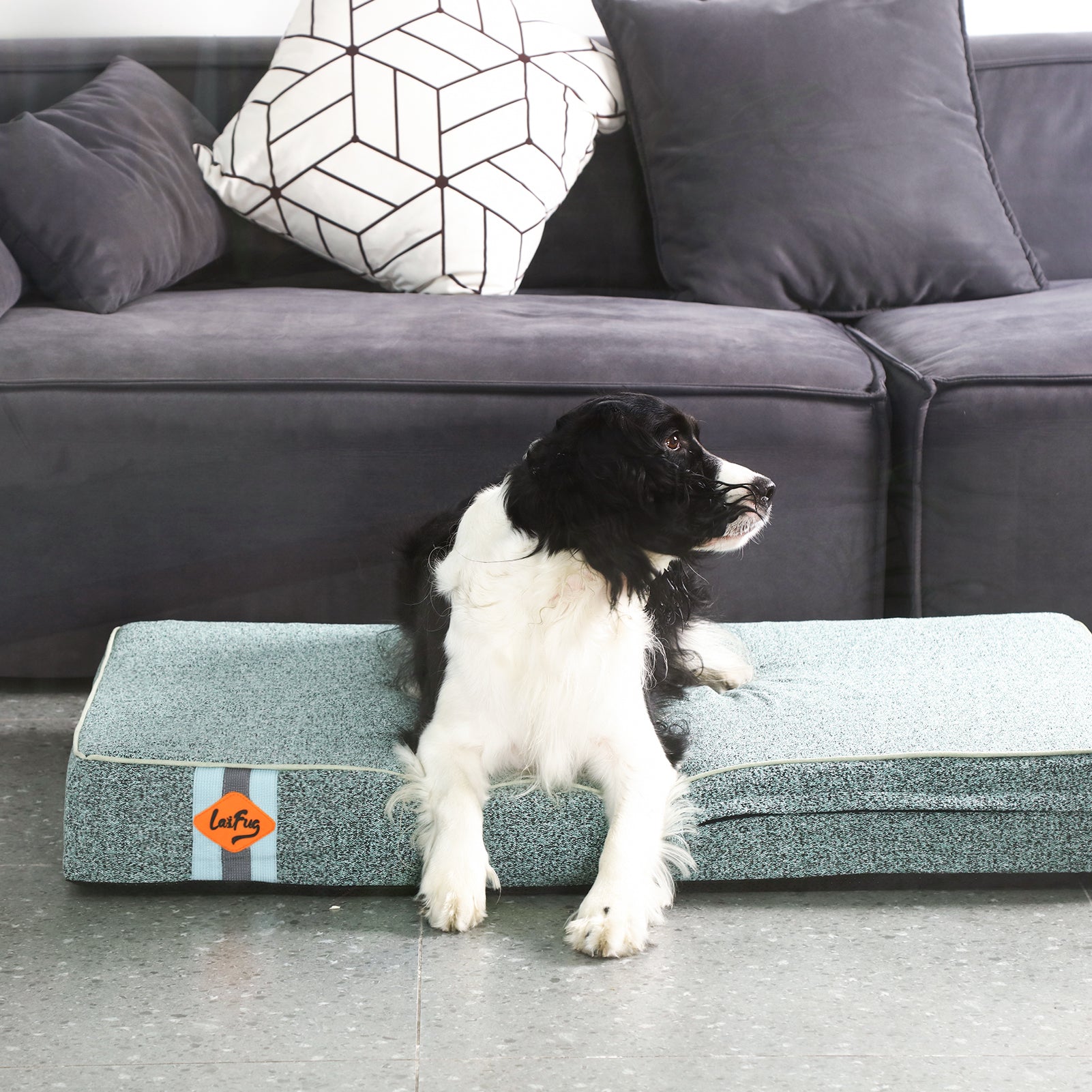 LaiFug 318 Flat Orthopedic Memory Foam Dog Bed