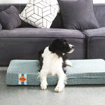 LaiFug 318 Flat Orthopedic Memory Foam Dog Bed