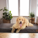 LaiFug 318 Flat Orthopedic Memory Foam Dog Bed