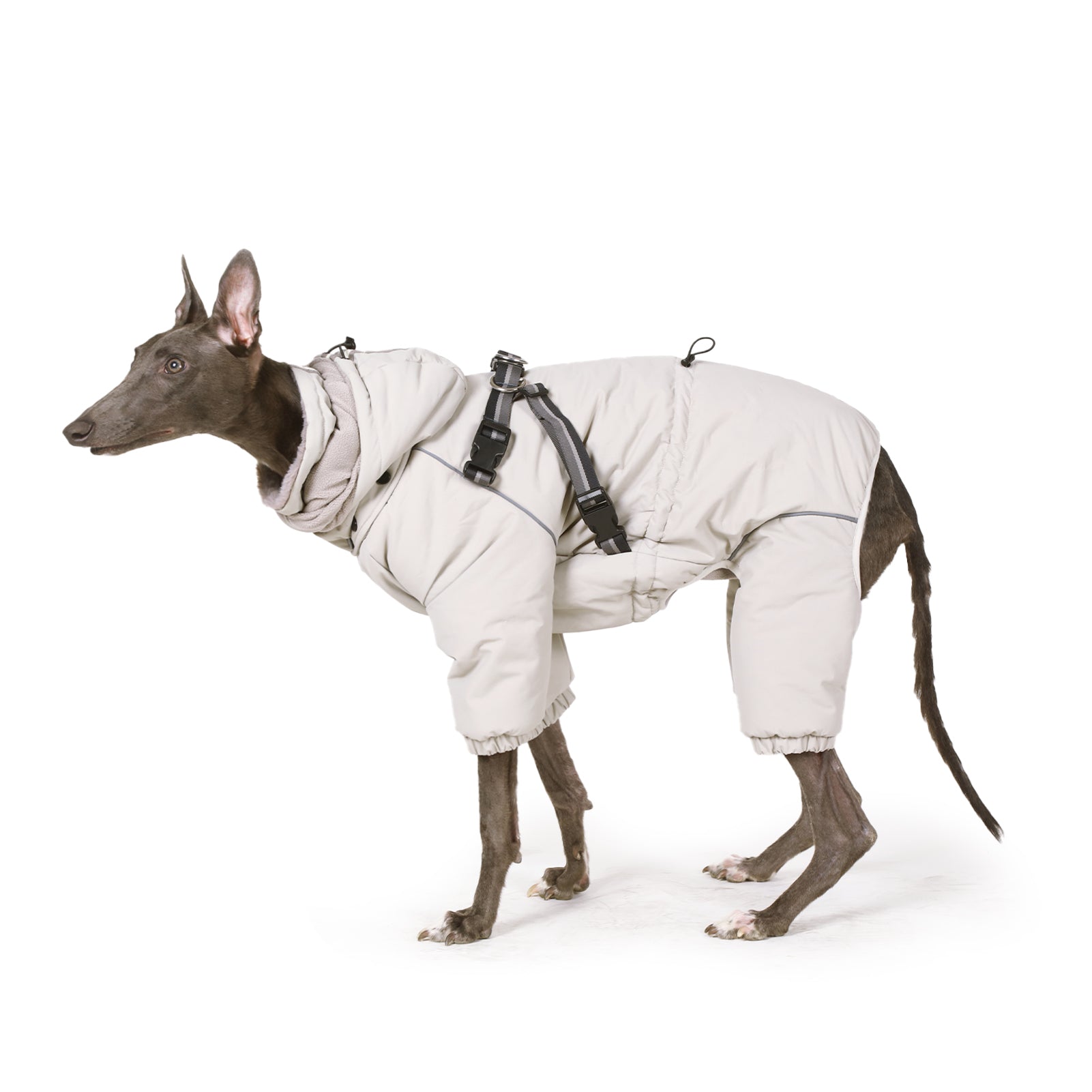 Laifug Grey hooded four Legged Onesies Dog Winter Coat - dog clothes Grey / L