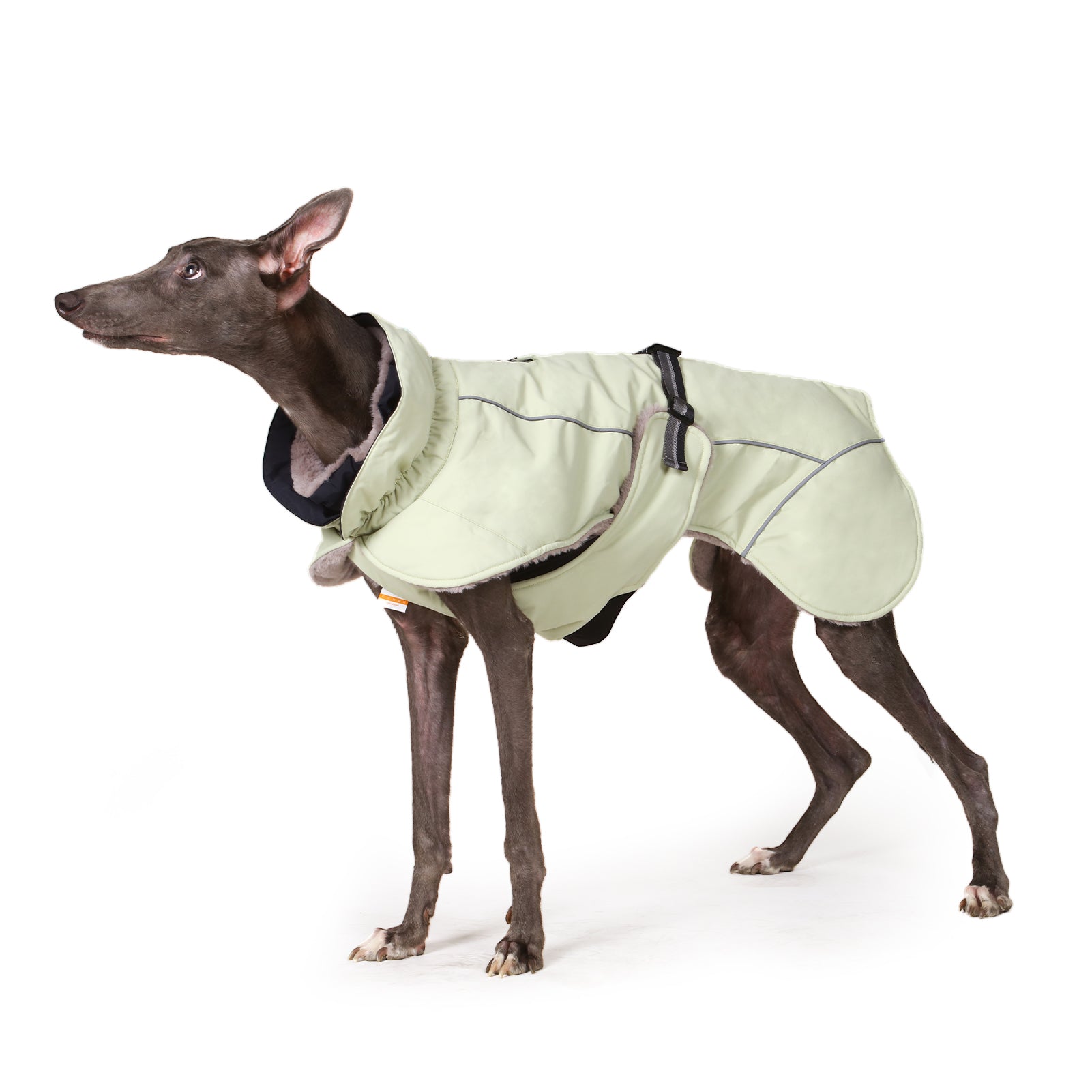 LaiFug Green Stand Collar Cloak Dog Winter Coat