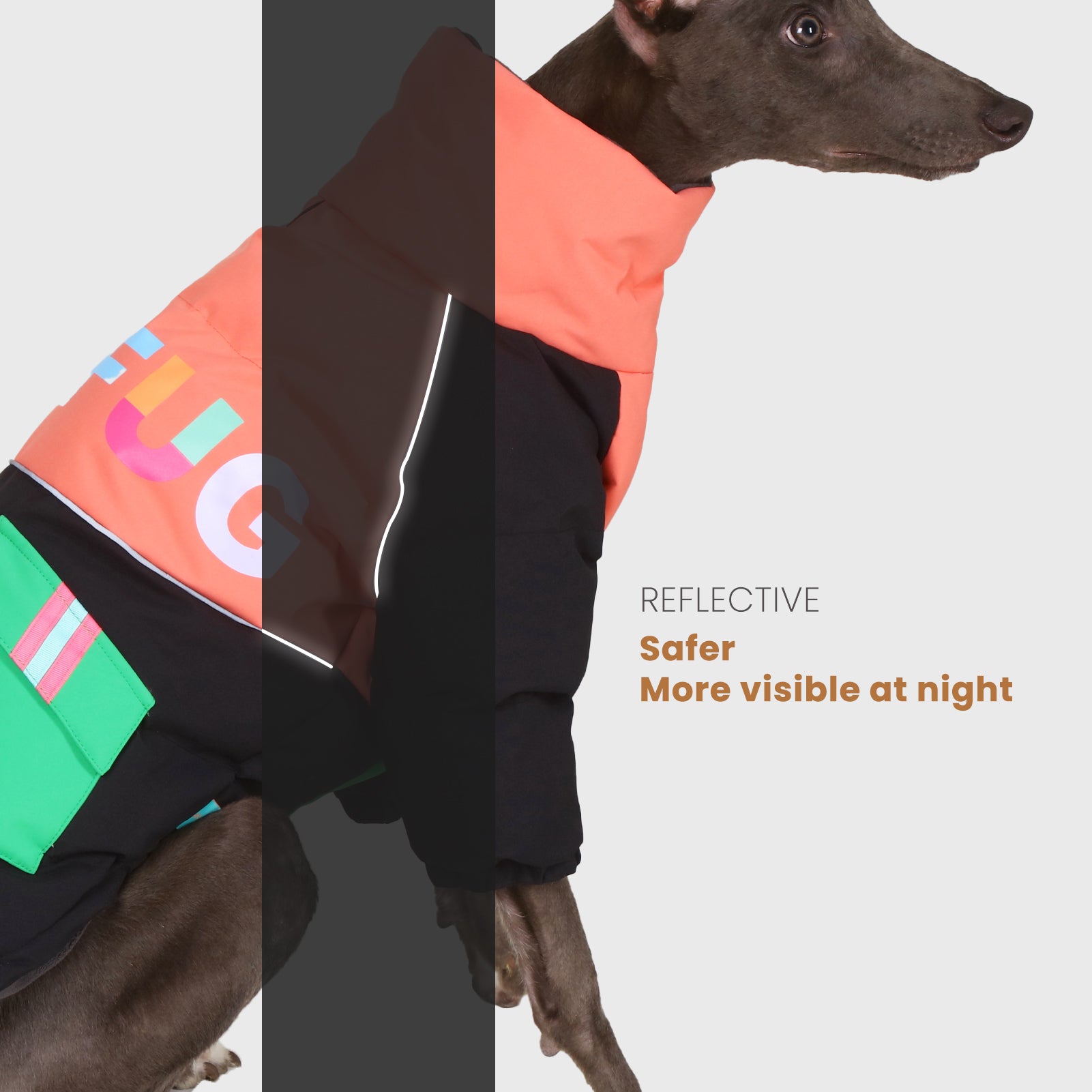 LaiFug Stand Collar Two Legs Dog Winter Coat