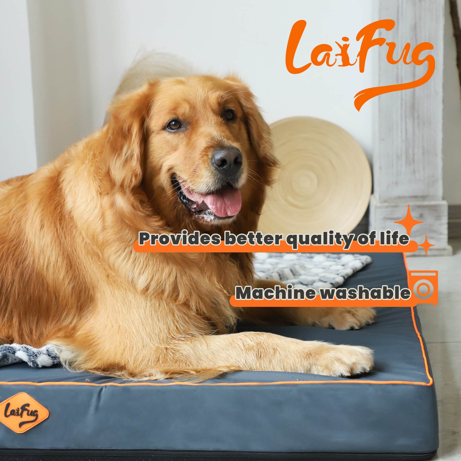 LaiFug Egg-Crate Foam Dog Bed – High-Density Pressure Relief