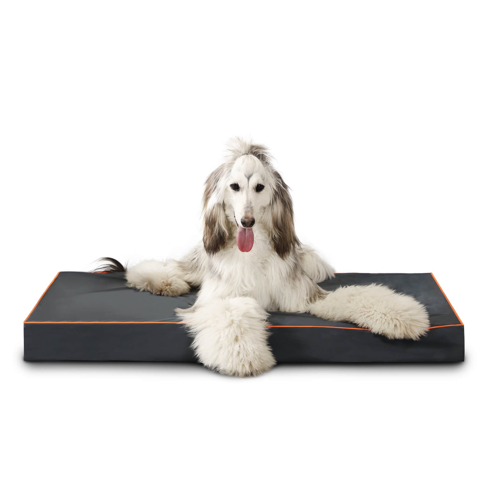 LaiFug Egg-Crate Foam Dog Bed – High-Density Pressure Relief