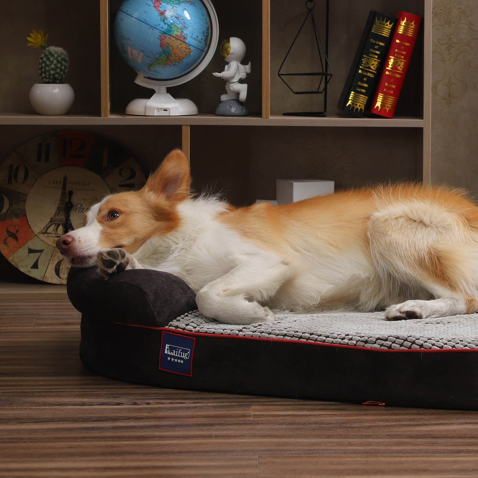 LaiFug 422 Dot Oval Dog Bed Cover