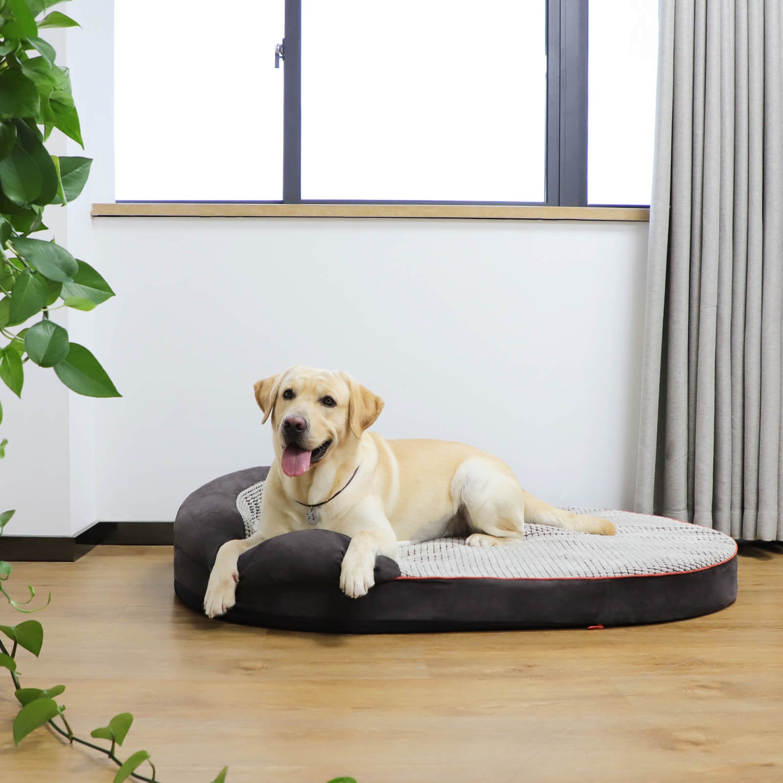 LaiFug 422 Dot Oval Dog Bed Cover