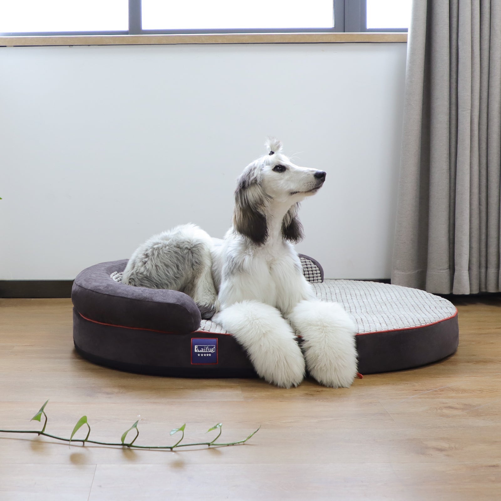 LaiFug 422 Dot Oval Dog Bed Cover