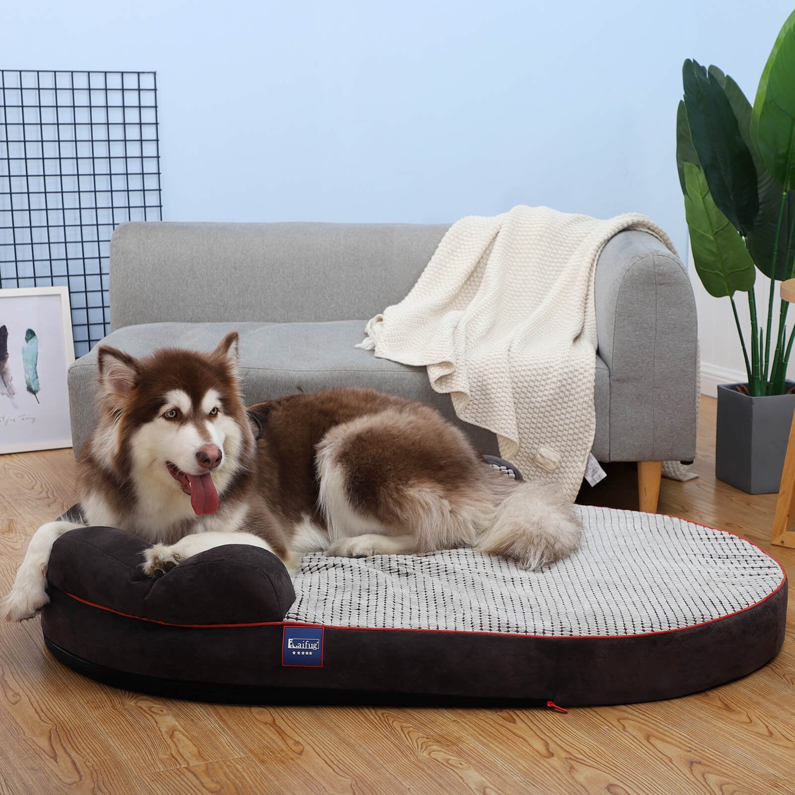 LaiFug 422 Dot Oval Dog Bed Cover