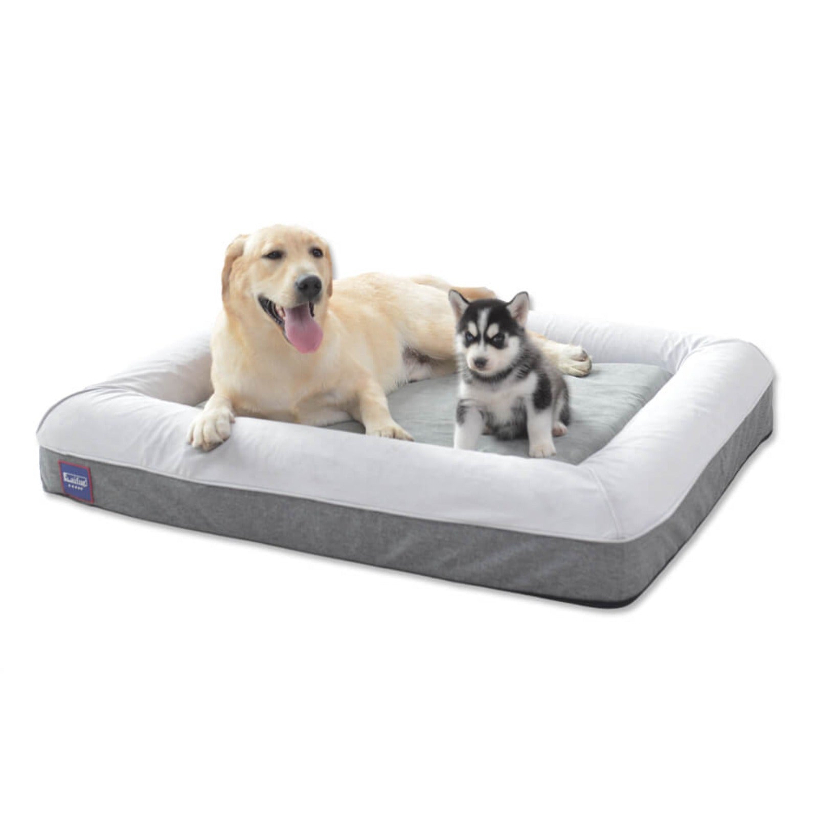 LaiFug Orthopedic Memory Foam Dog Mattress – Large Four-Sided Bolster Bed