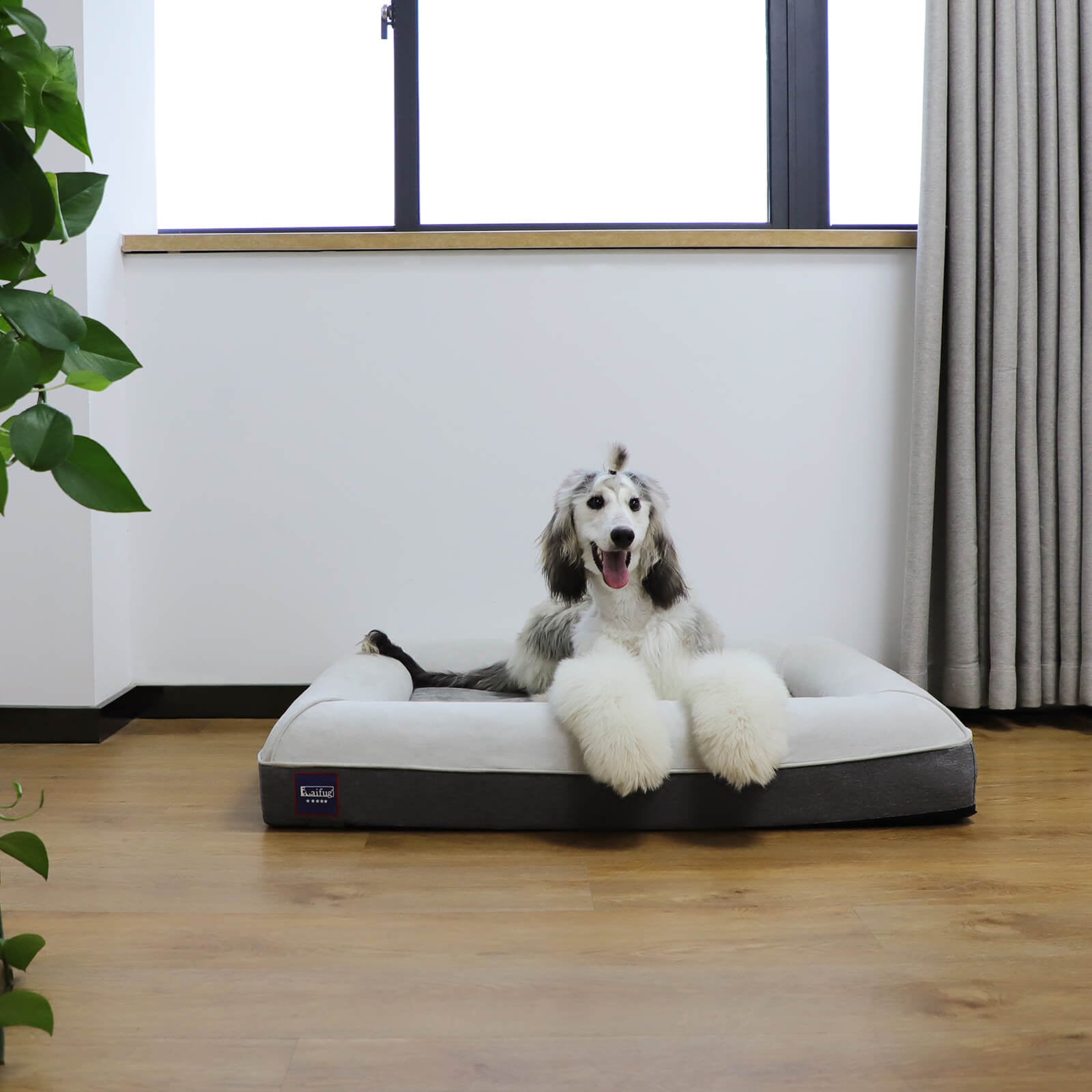 LaiFug Orthopedic Memory Foam Dog Mattress – Large Four-Sided Bolster Bed