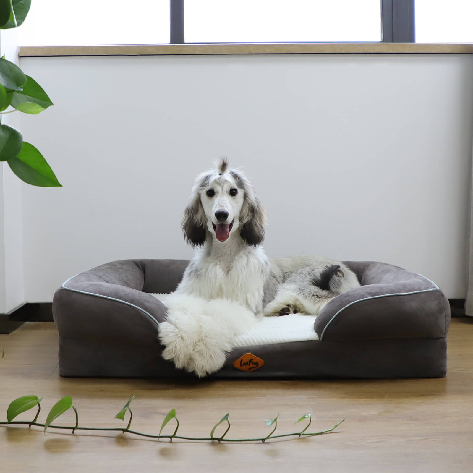 Laifug Large Dog Sofa (US) - LaiFug