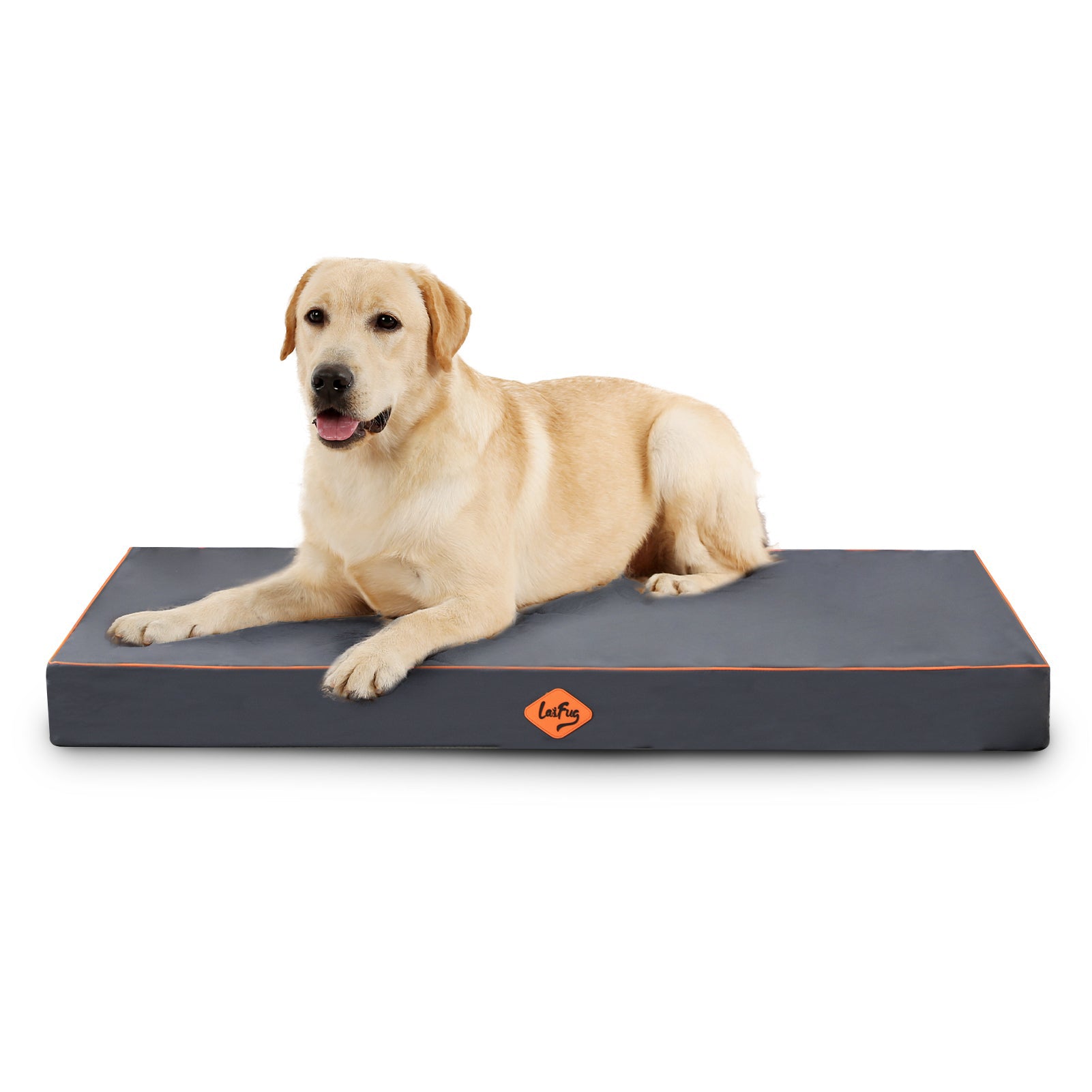 LaiFug Egg-Crate Foam Dog Bed – High-Density Pressure Relief