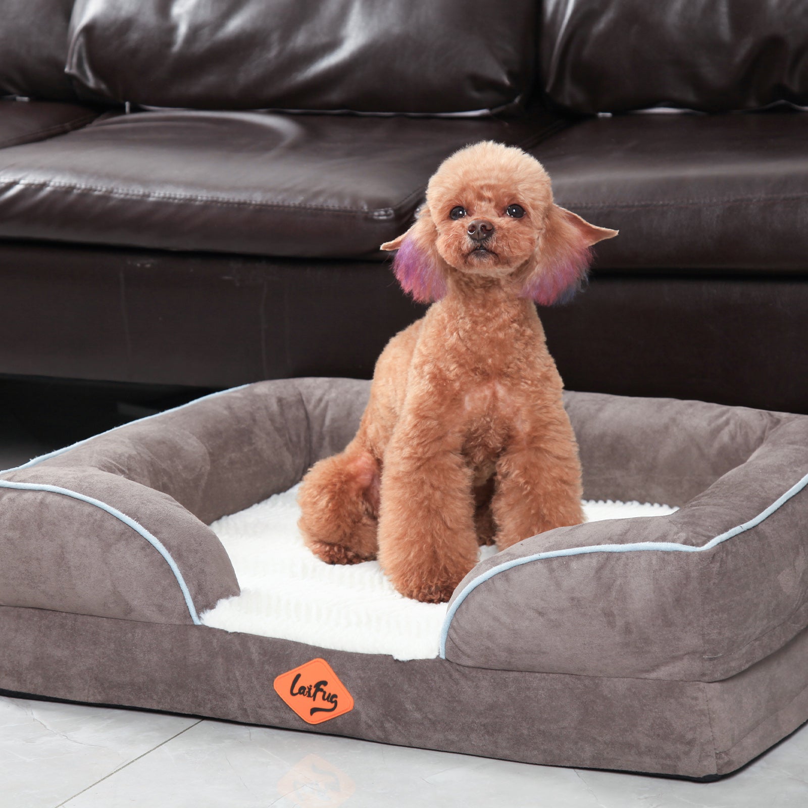 LaiFug Orthopedic Memory Foam Dog Sofa – Premium Bolster Bed