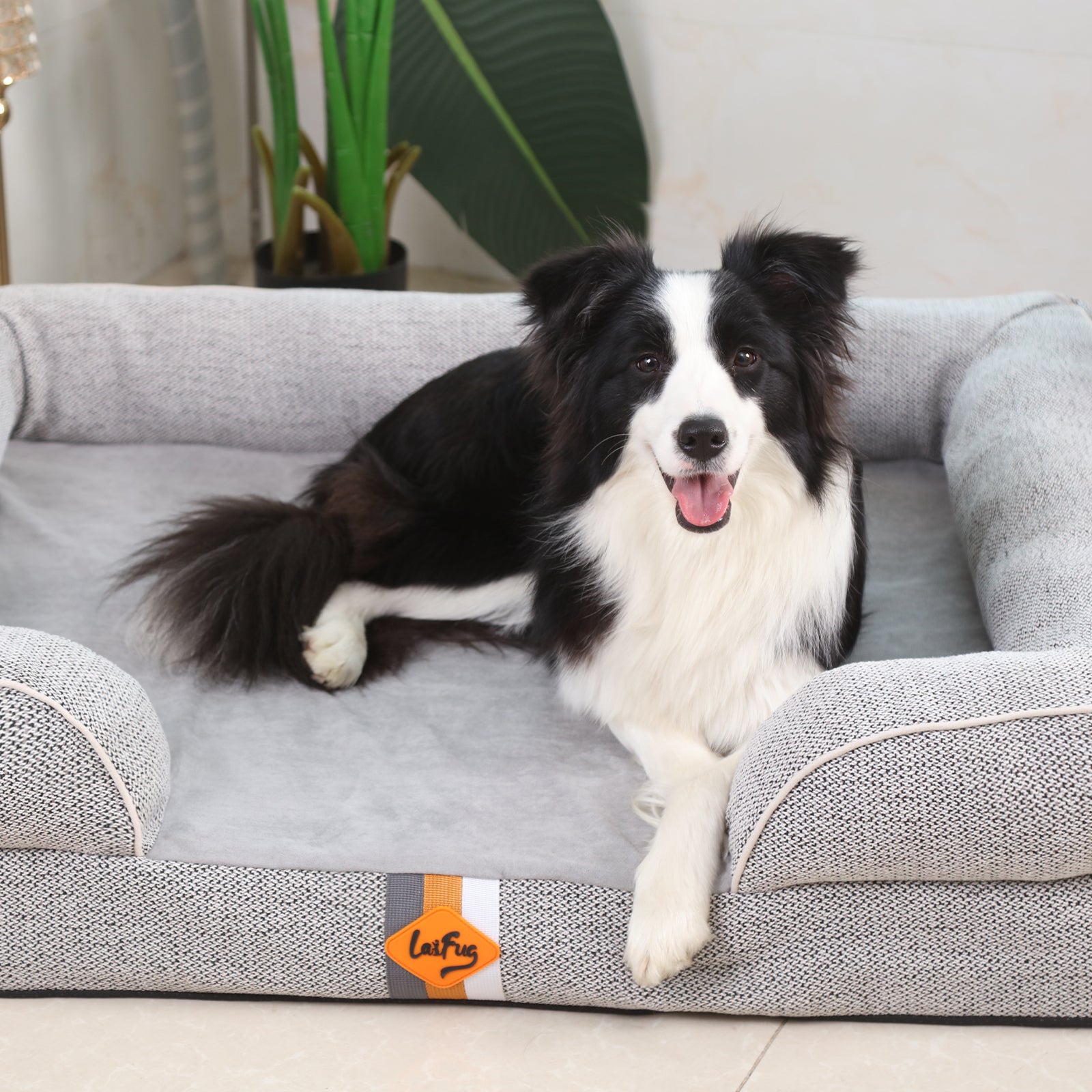 LaiFug Orthopedic Memory Foam Dog Sofa – Premium Bolster Bed