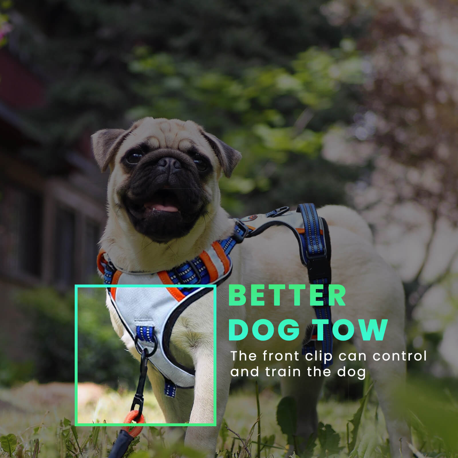 LaiFug Adjustable Dog Harness