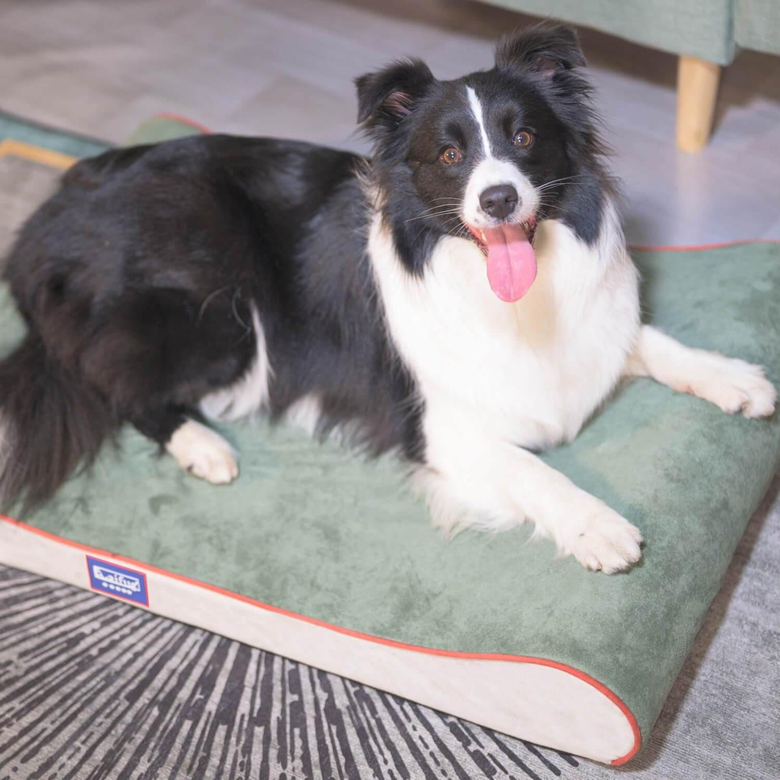 Laifug Pillow Dog Bed - dog bed