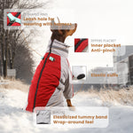 Laifug Gray Red & Gray Blue Stand Collar Two Legs Dog Winter Coat