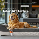 Laifug 422 Orthopedic Dog Bed with Bolster Support (Single & Double Pillow Options)