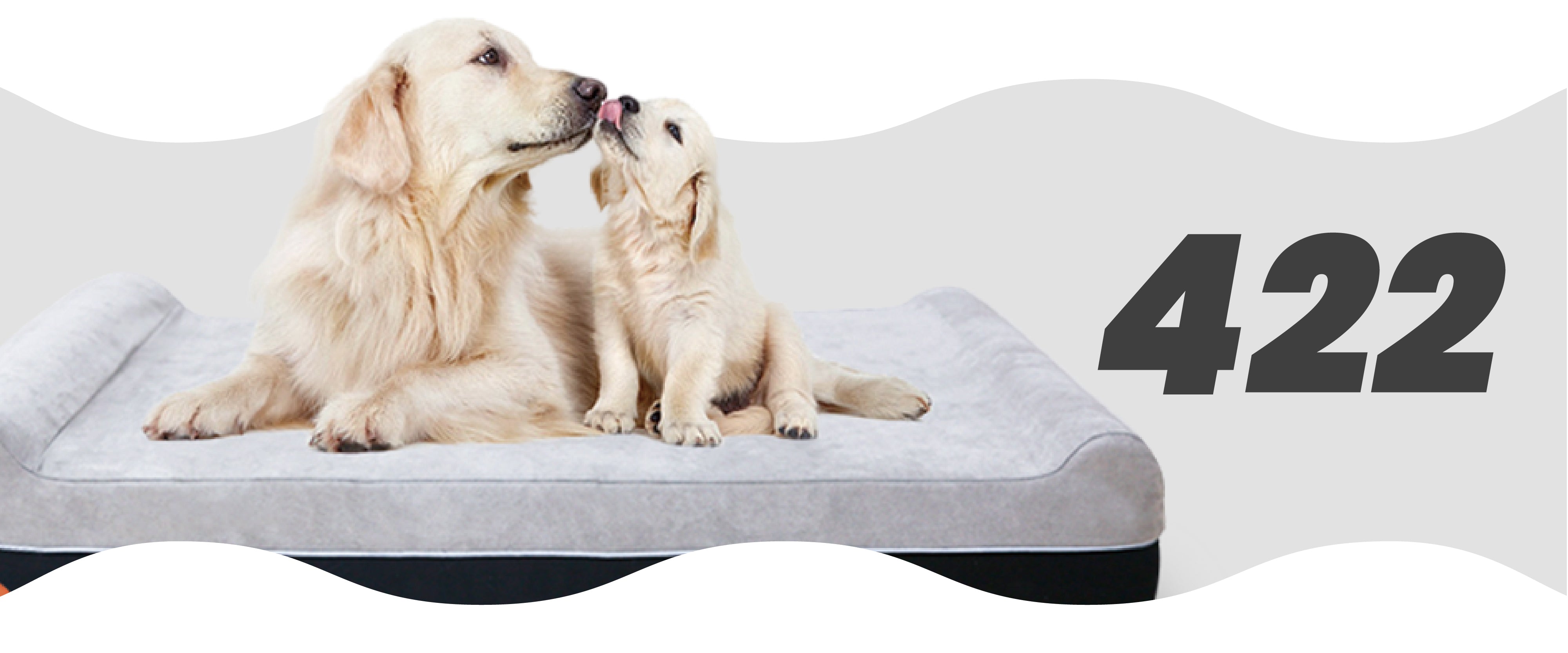 Laifug Dog Bed Promotions – LaiFug