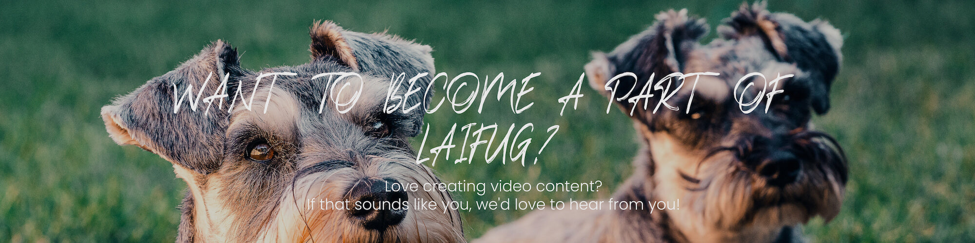 LaiFug