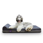 LaiFug 422 Orthopedic Memory Foam Dog Bed – Single-Pillow Support