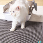 Laifug Cat Litter Mat - LaiFug