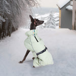 LaiFug Green Stand Collar Cloak Dog Winter Coat
