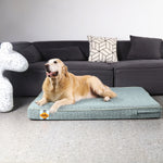 LaiFug 318 Flat Orthopedic Memory Foam Dog Bed – Minimalist Design