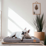 LaiFug 318 Flat Orthopedic Memory Foam Dog Bed