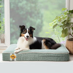LaiFug 318 Flat Orthopedic Memory Foam Dog Bed