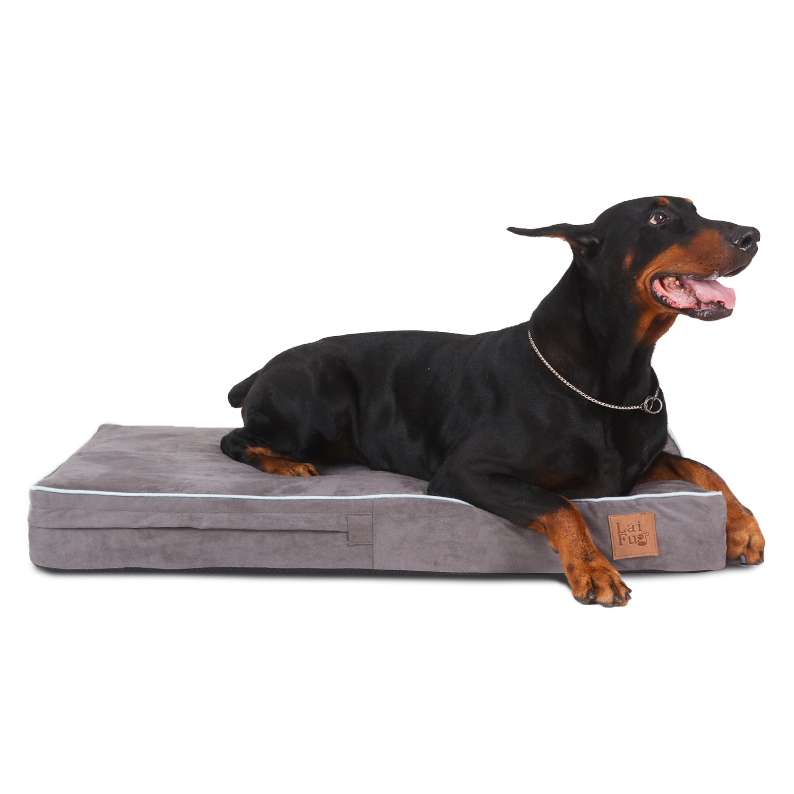 Barkbox memory foam dog bed deals