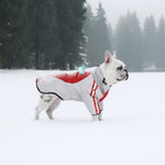 Laifug Gray Red & Gray Blue Stand Collar Two Legs Dog Winter Coat