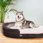 LaiFug 422 Dot Oval Dog Bed Cover