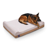 LaiFug 422 Jumbo Orthopedic Memory Foam Dog Bed – Double Pillow Support