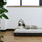 LaiFug Orthopedic Memory Foam Dog Mattress – Large Four-Sided Bolster Bed