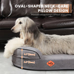 LaiFug Orthopedic Memory Foam Oval Dog Bed – Curved Bolster Support