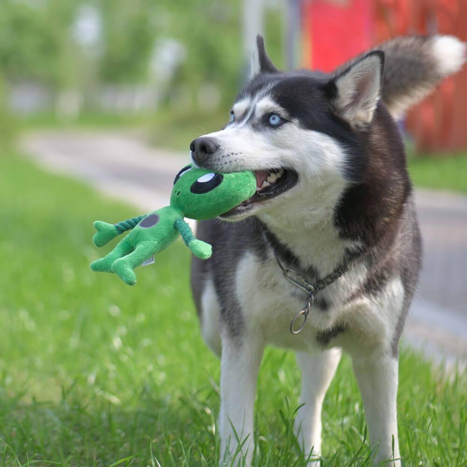Laifug Squeaky Alien Toy - dog toy