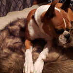 Laifug Faux Fur Dog Bed - dog bed