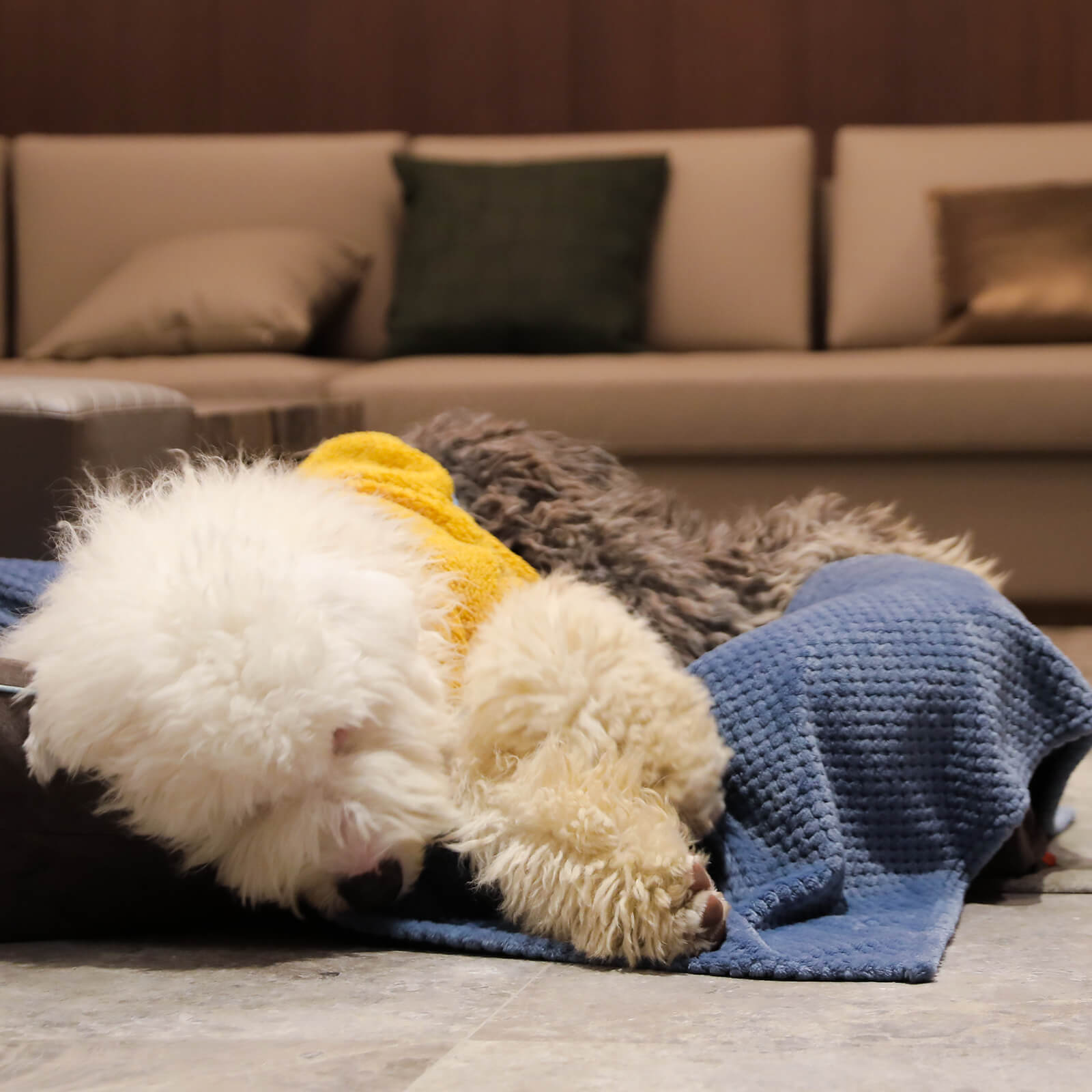 Laifug Fleece Warm Pet Blanket