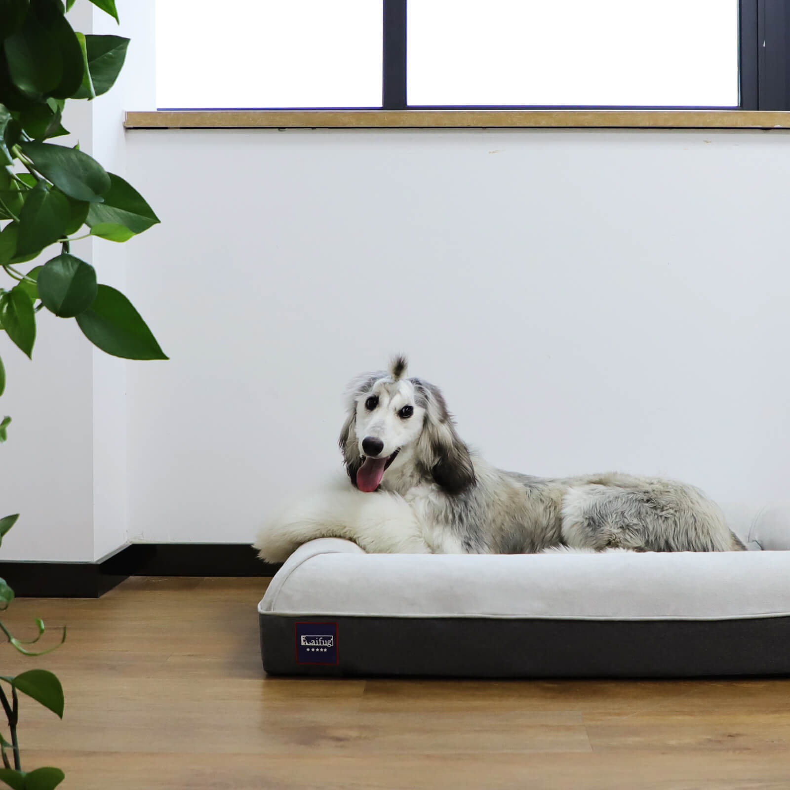 Laifug Dog Mattress - memory foam dog bed