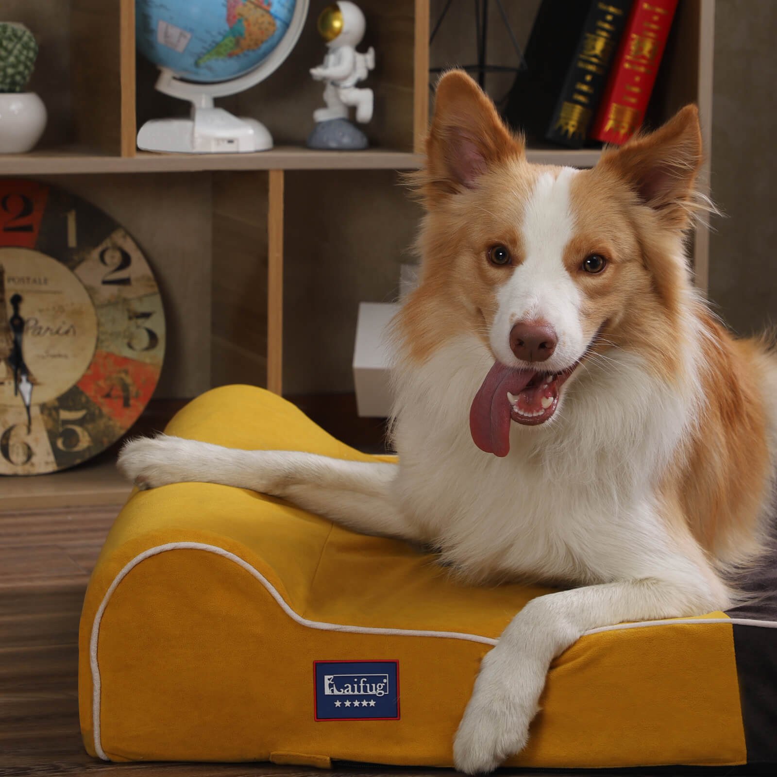 Laifug Single Pillow Dog Bed - memory foam dog bed