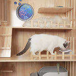 Laifug Indoor Large Cat House - indoor cat house